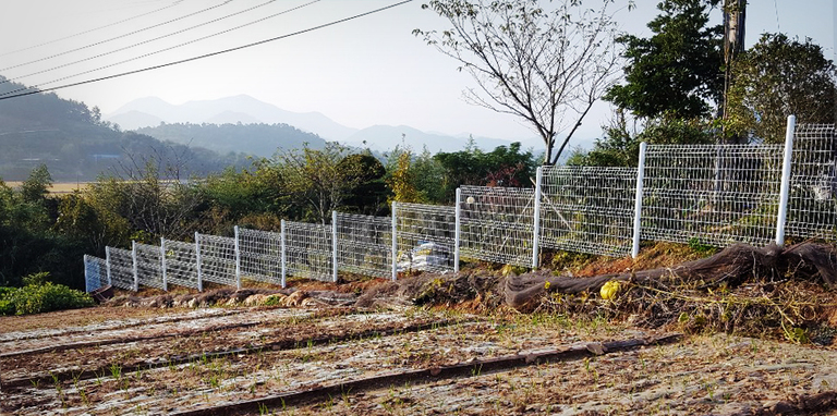 백색 플라워 휀스입니다